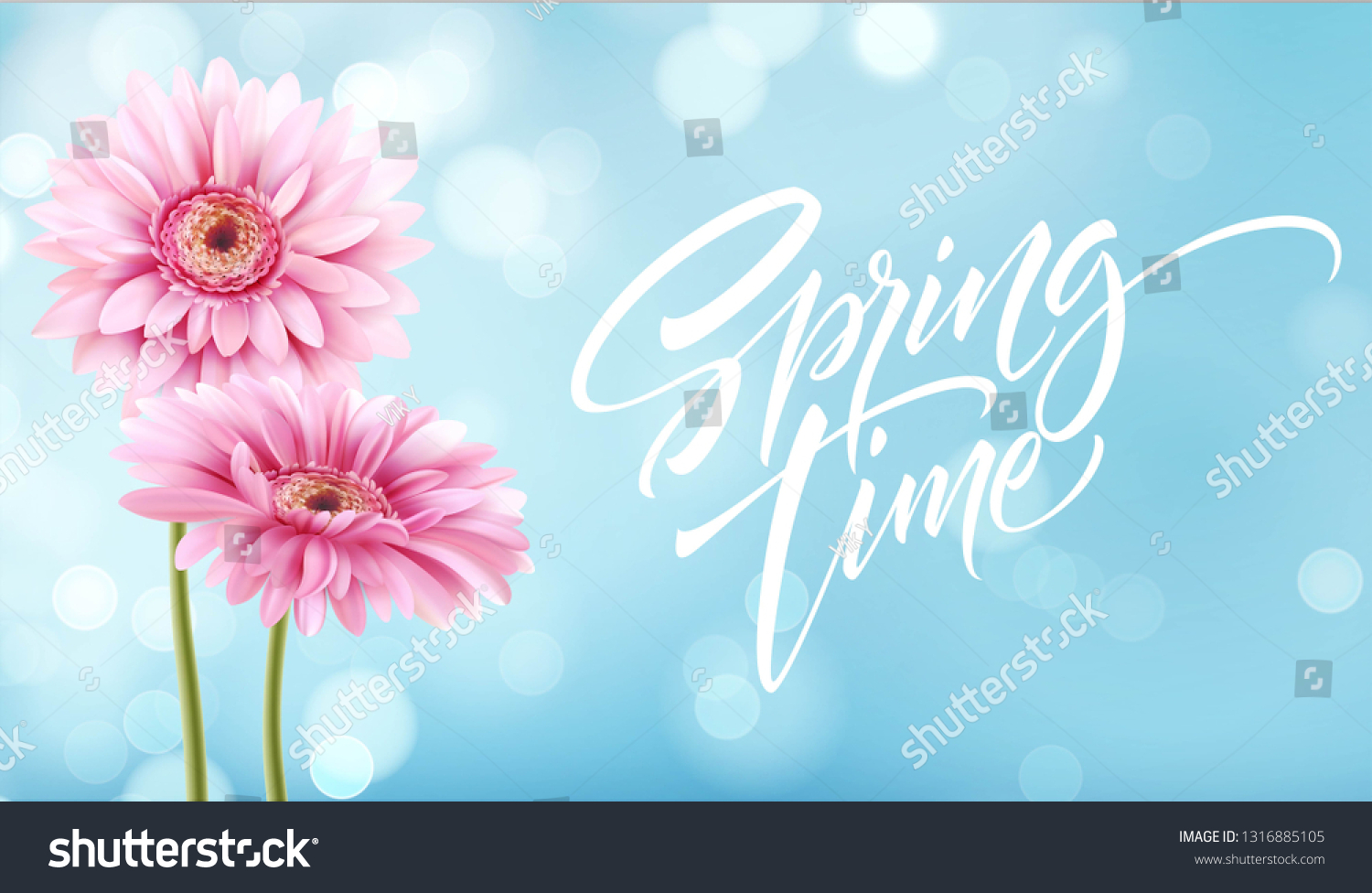 stock-vector-gerbera-flower-background-and-spring-time-lettering-vector-illustration-eps-1316885105