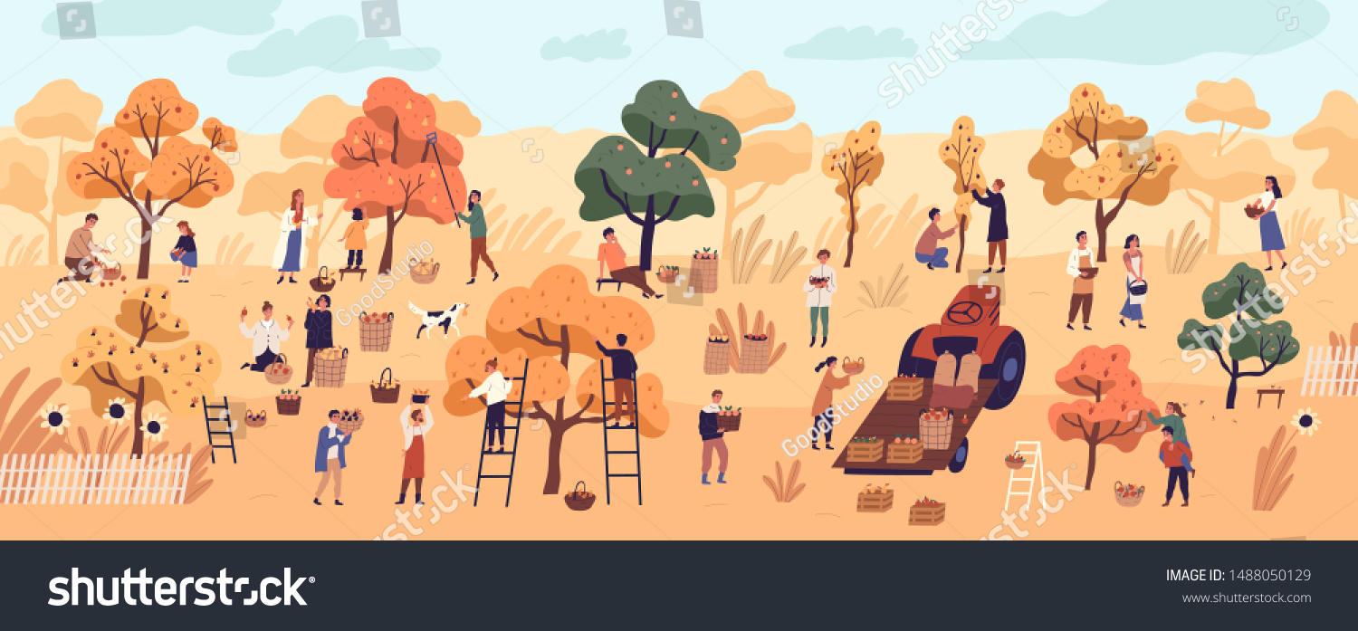 stock-vector-smiling-people-gathering-fruits-in-orchard-or-at-farm-cute-happy-young-men-and-women-picking-1488050129